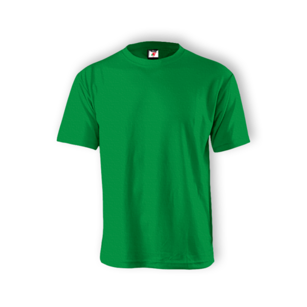 <strong> ALAM FASHION </strong> - AFUS - UNISEX SHORT SLEEVE (COTTON) - Kelly Green, 3XL