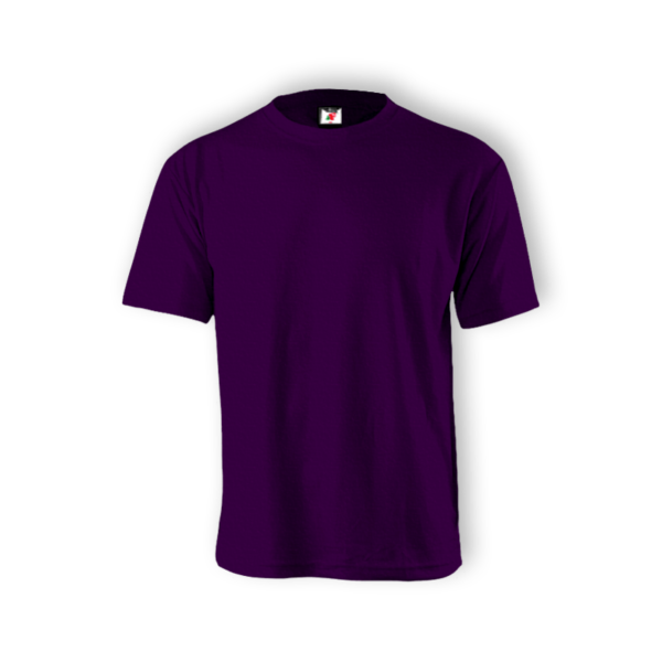 <strong> ALAM FASHION </strong> - AFUS - UNISEX SHORT SLEEVE (COTTON) - Purple, 3XL