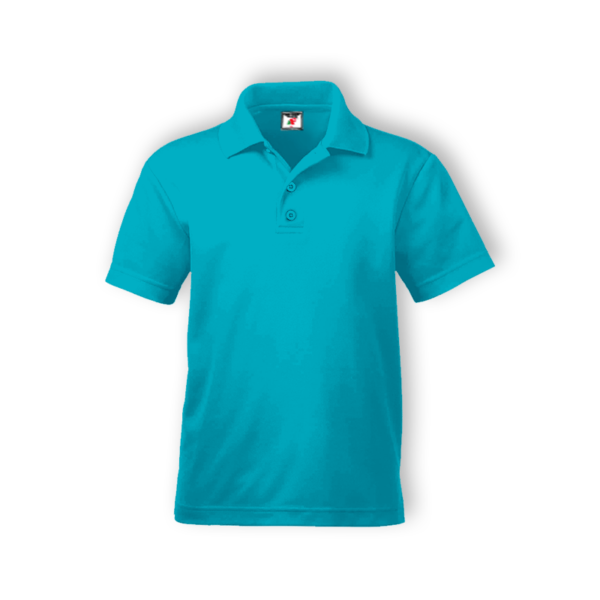 <strong> ALAM FASHION </strong> - AFAP - ADULT POLO (COTTON) - 5XL, Aqua