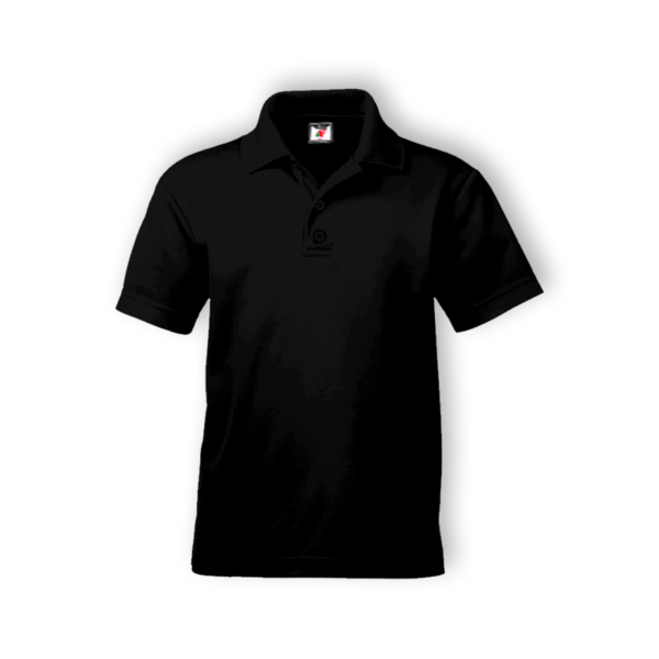 <strong> ALAM FASHION </strong> - AFAP - ADULT POLO (COTTON) - 5XL, Black