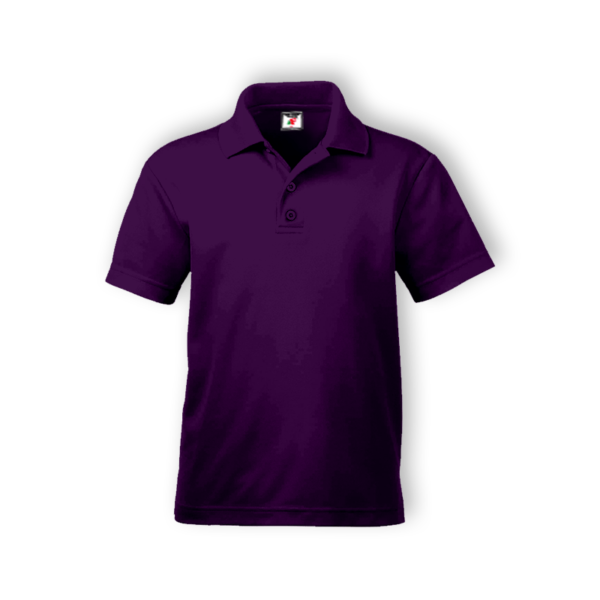 <strong> ALAM FASHION </strong> - AFAP - ADULT POLO (COTTON) - 5XL, Purple