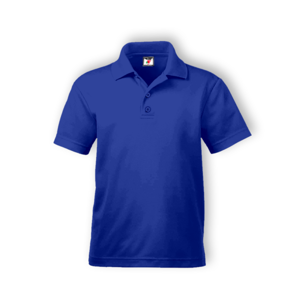 <strong> ALAM FASHION </strong> - AFAP - ADULT POLO (COTTON) - 5XL, Royal Blue