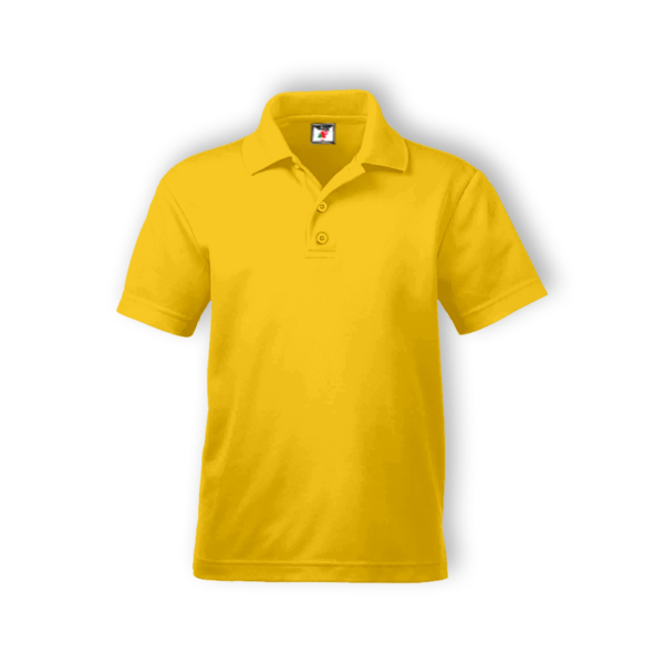 <strong> ALAM FASHION </strong> - AFAP - ADULT POLO (COTTON) - 5XL, Yellow
